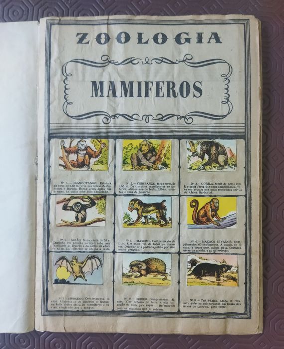 Álbum de Zoologia