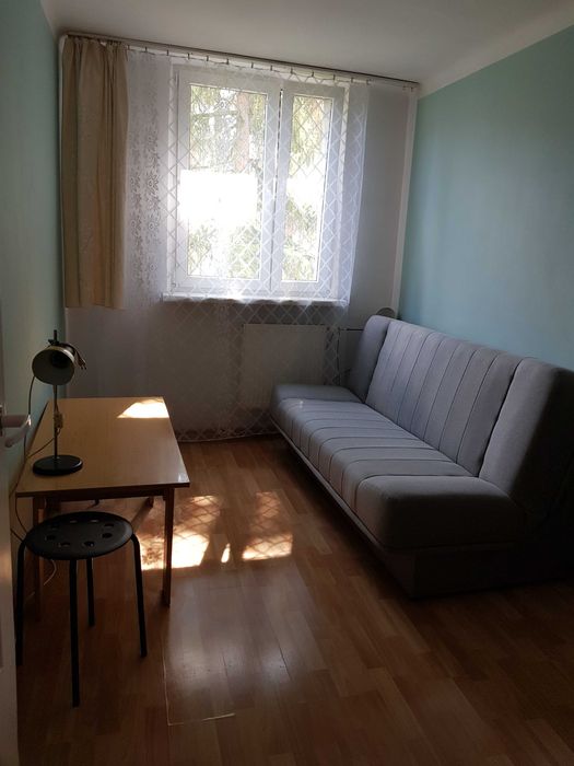Zdjęcie 3