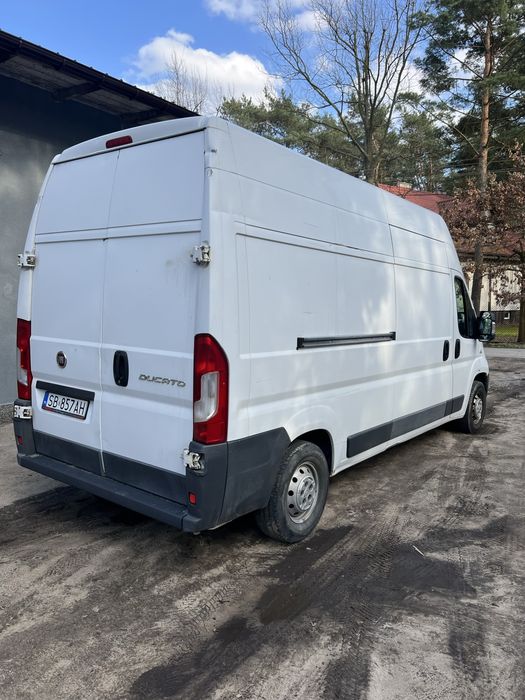Wynajem busa Fiat Ducato L4H2 MAXI !! / Wypożyczalnia aut dostawczych