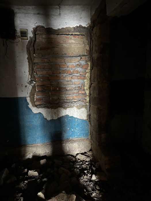 село Трепівка, вулиця Шкільна (торг реальному покупцю)