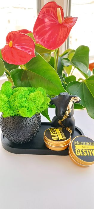 Натуральні масажні свічки