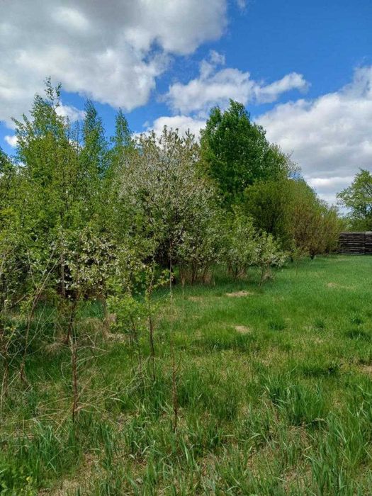 Ділянки 15 соток із забудовою — с. Бабинці, поруч із лісом та каналом!