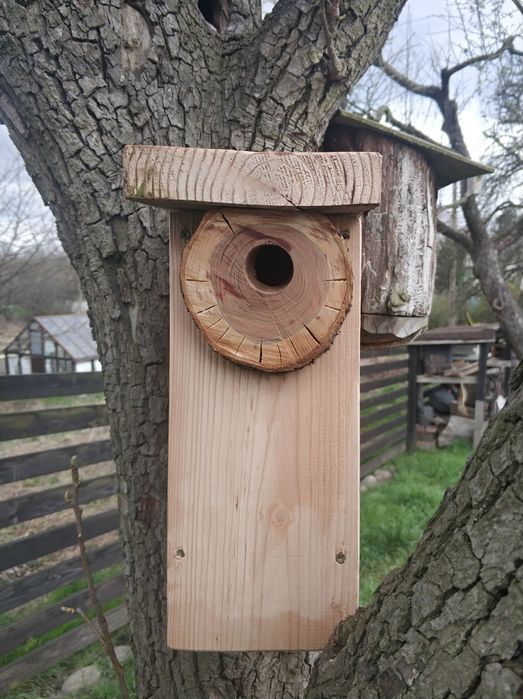Budka dla ptaków, lęgowa. Drewno naturalne