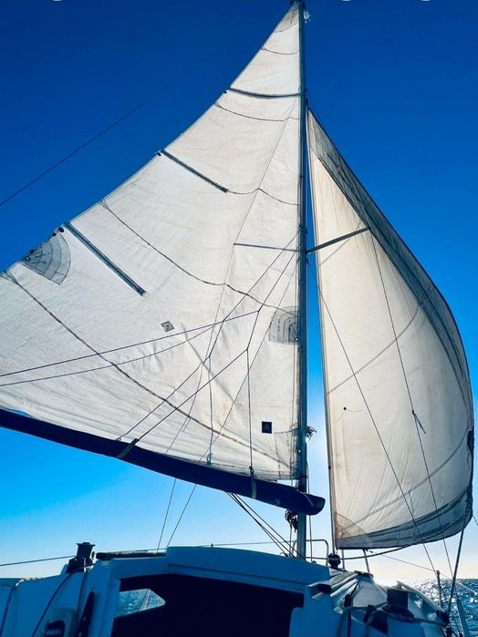Barco veleiro  muito estimado com lugar de marina cascais