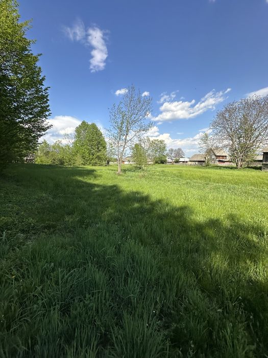 Продам ділянку 40 соток з будиноком