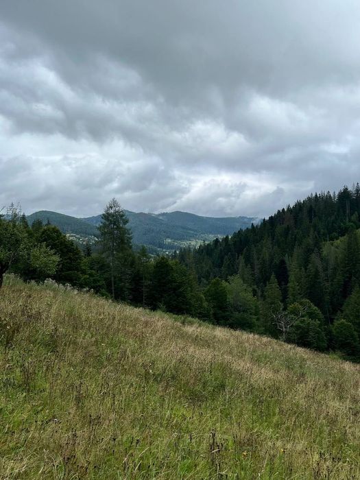 Земля Карпати Микуличин 25 сот біля потічка, будівництво,норм дорога