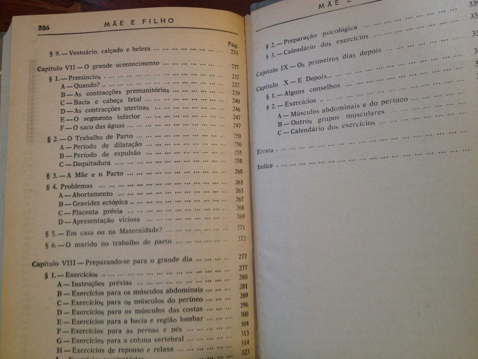 Ramiro da Fonseca - Mãe e filho (2 vols.)