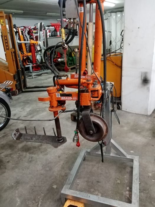 Intercepas ventral Braun