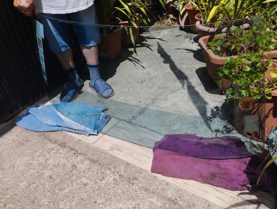 Parabrisa Datsun 1600 sss Original