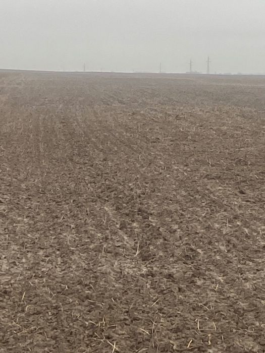 Продам пай в Колоденці 2.58 га.