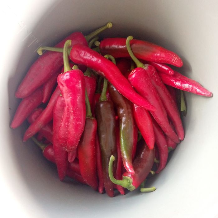 Продам баночки закручені на зиму. перець чілі