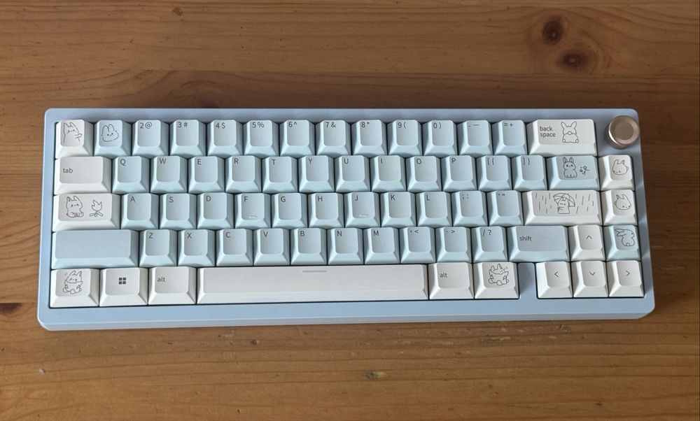 Klawiatura mechaniczna Wormier sk65 custom qtuo
