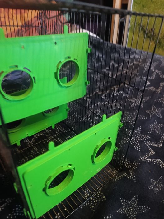 Клетка с нюансами