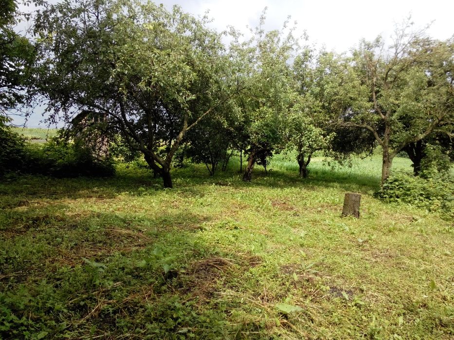 Продаємо ділянку