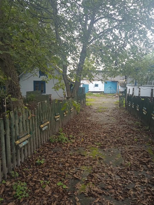 Будинок, хата с. Жаврів, Гощанський р-н, Рівненська обл.