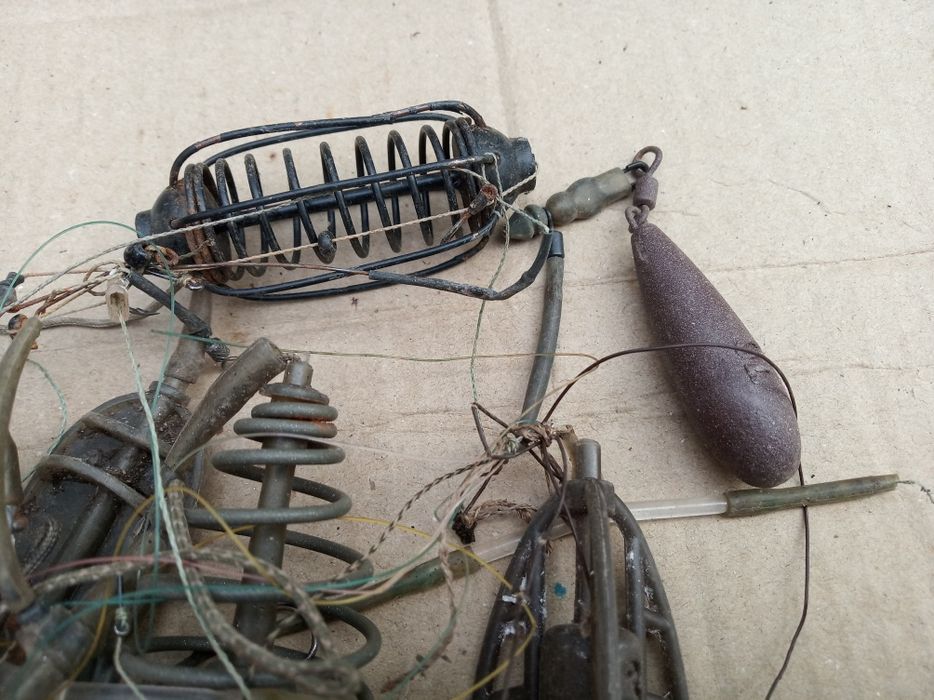 Годiвниця рибацька