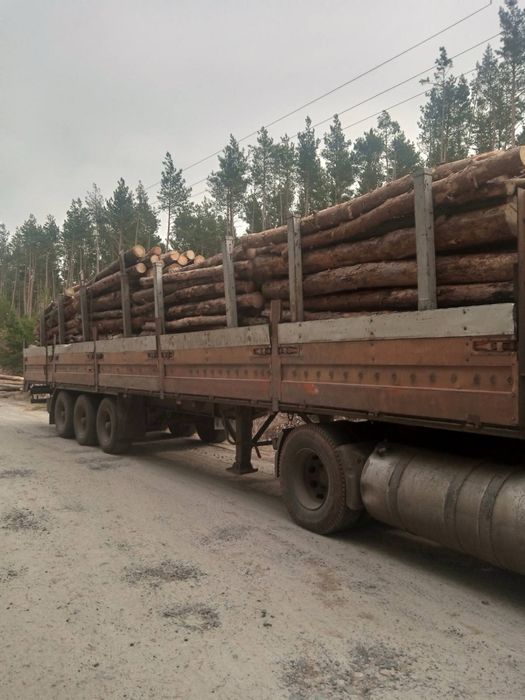 Лісовоз ( перевезення)