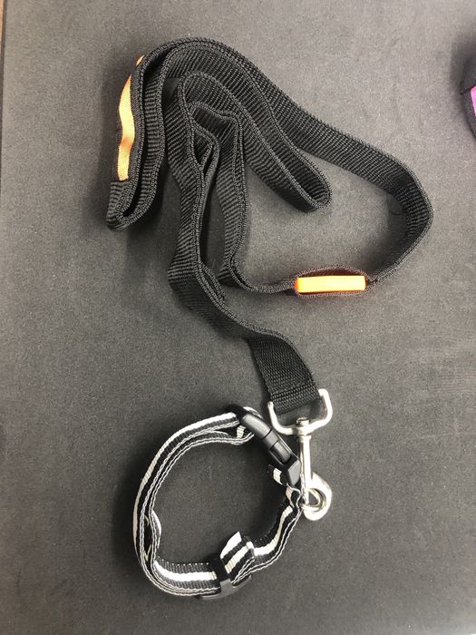 Собачая шлея-ошейник