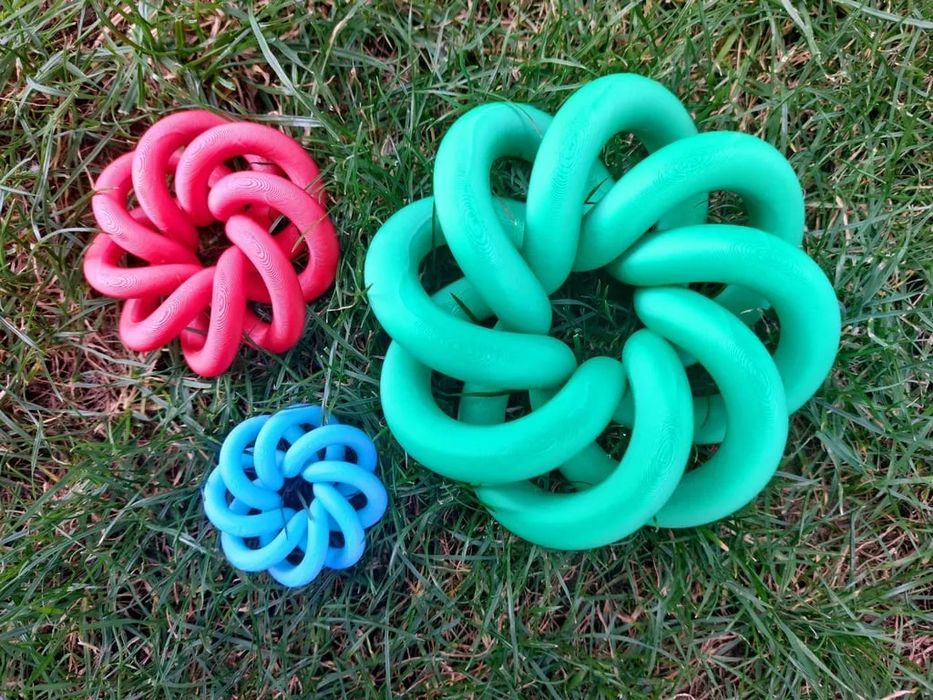 Hypnotic Toroidal Knot Decoration