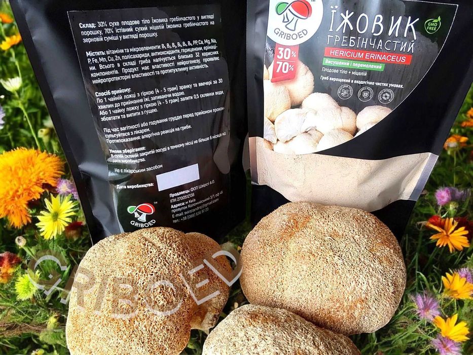 Ежевик гребенчатый (плоды + мицелий) сухой и перемолотый - 100 грамм!