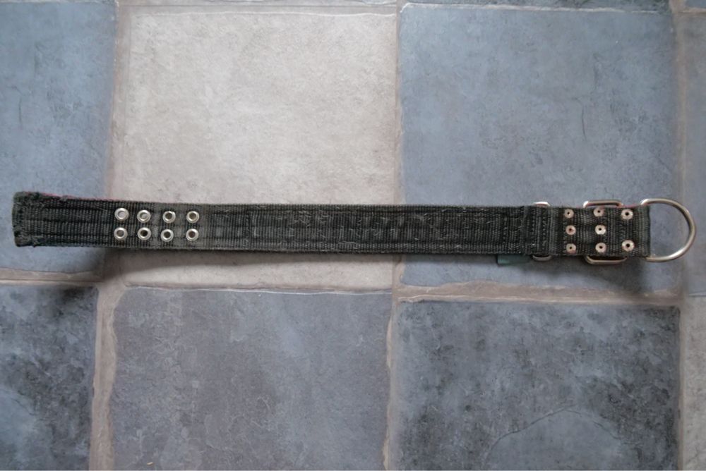 Obroża amstaff passion szeroka 5 cm