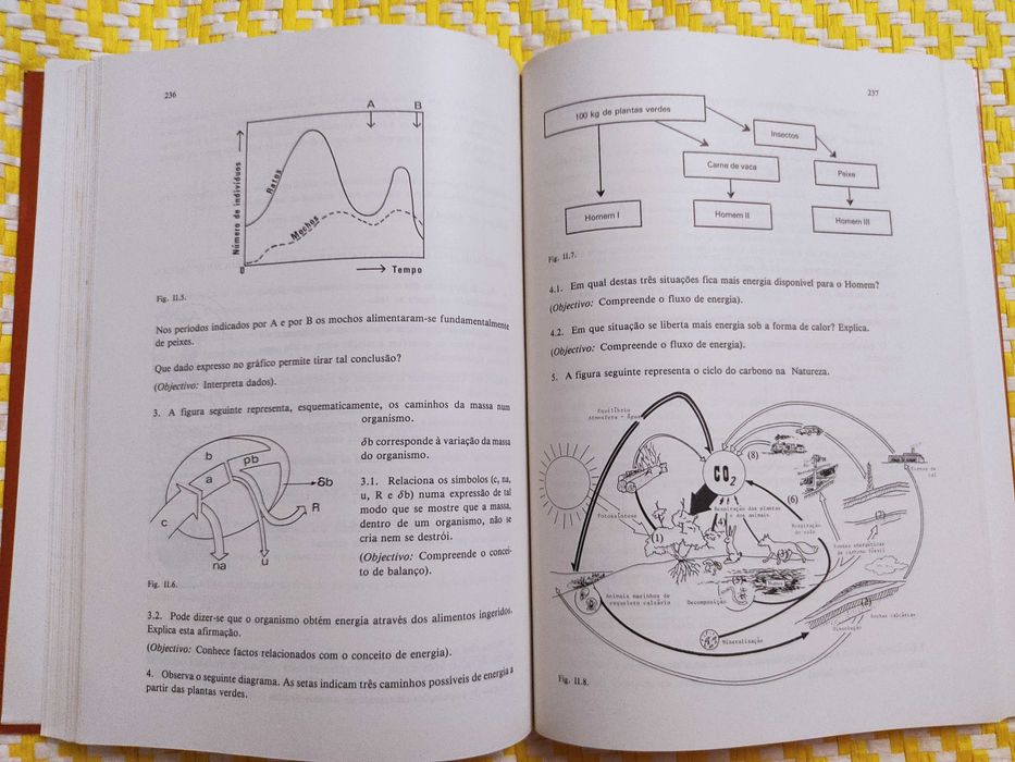 iências do Ambiente – Livro do Professor