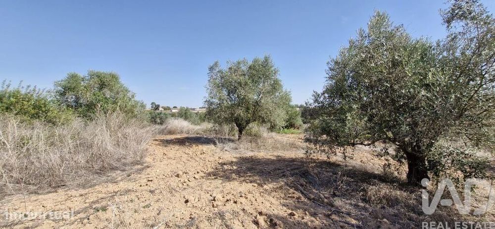 Terreno em Azambujeira e Malaqueijo de 12080,00 m2