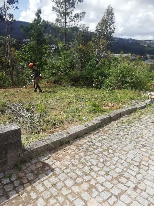Limpeza de terrenos, matos jardins e outros afins
