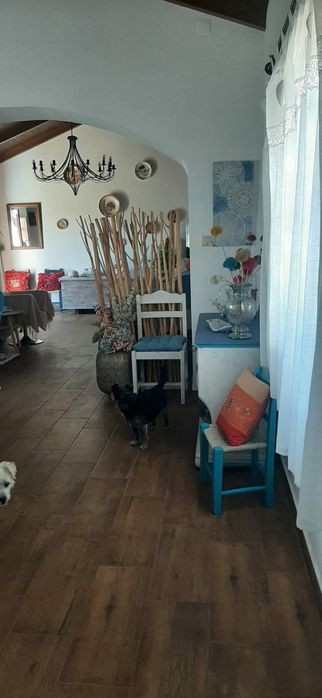 Aluga-se casa no campo