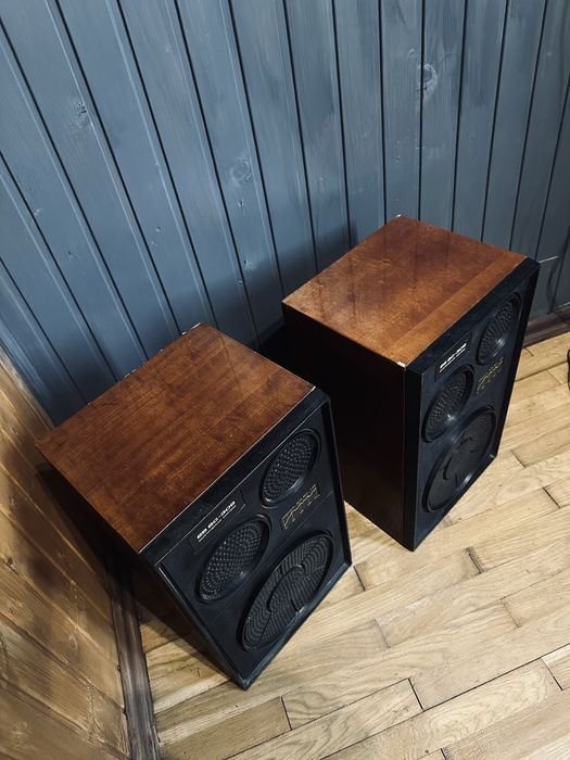 25 АС-309 акустична система