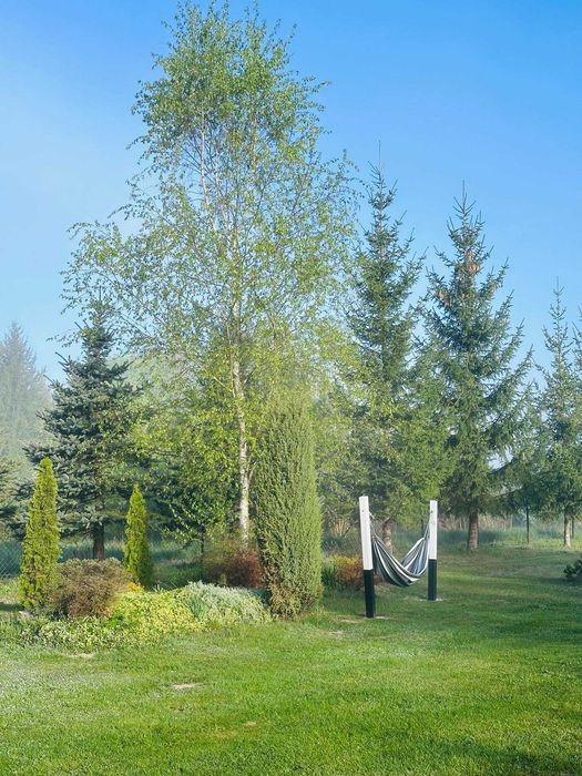 Domki nad Szelągiem Mazury 2026 Domki nad jeziorem Ostróda