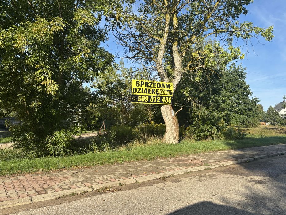 Zdjęcie 5