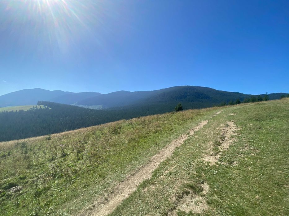 Земля під екопоселення 26 гектарівів