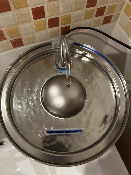 Bebedouro agua corrente