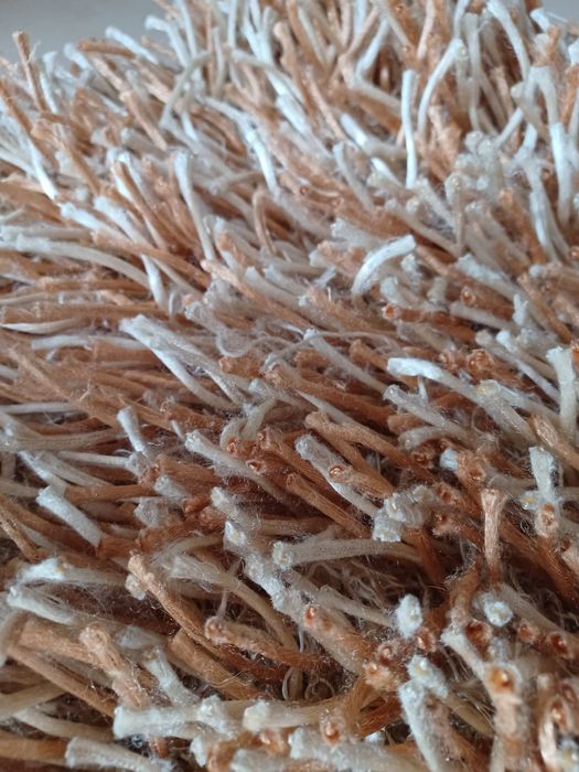 Tapete shaggy gato preto