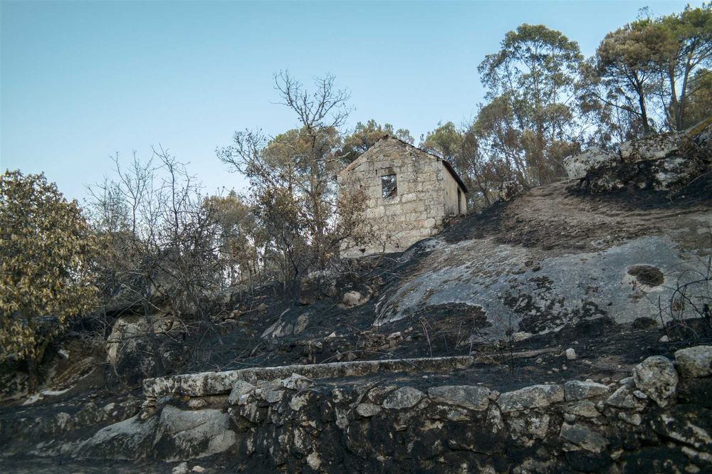 Quinta com ruina para recuperar! 1.3hec farm with granit house (ruin) Offgrid (Oliveira do Hospital)