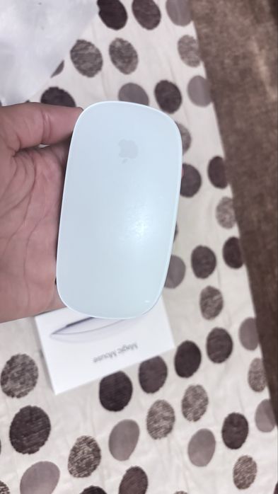 Magic mouse apple