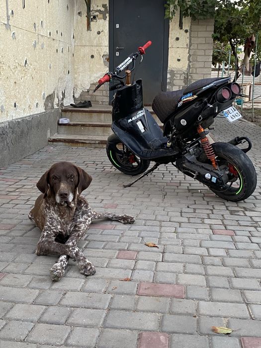 Продам мопед Aprilia sr 50