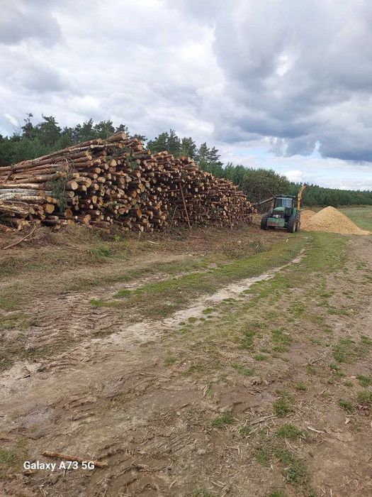 Дрова продаж опт