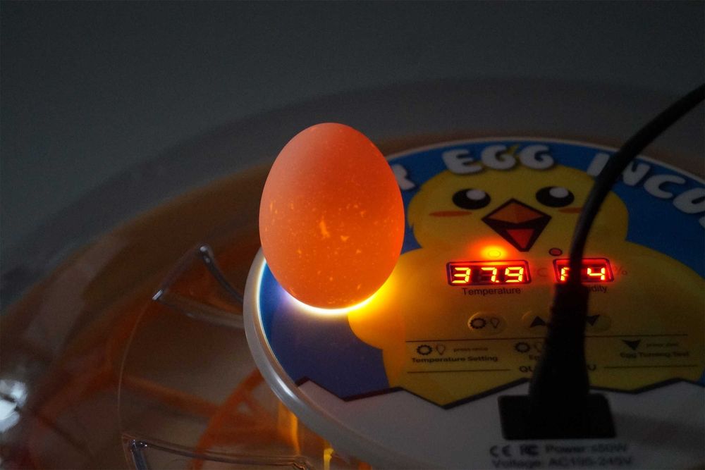 INKUBATOR Automatyczny HAPPY do 30 jaj UNIWERSALNY na każdy rodzaj jaj