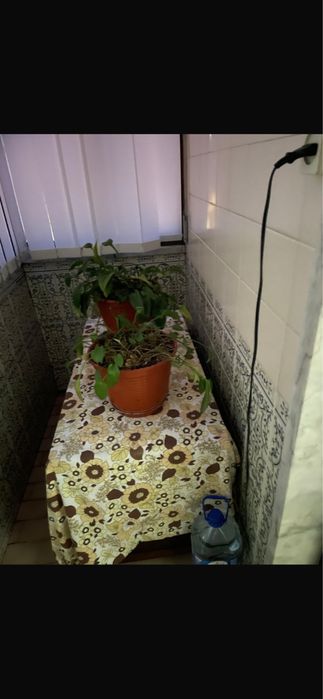 T2 com varandas e arrecadação