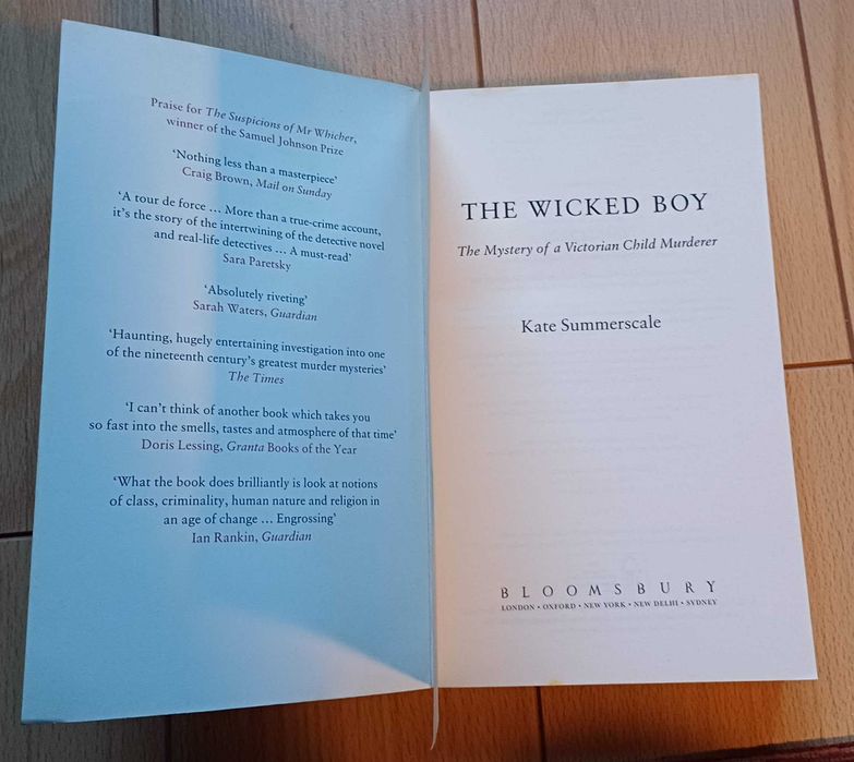 The Wicked Boy - Livro em Língua Inglesa