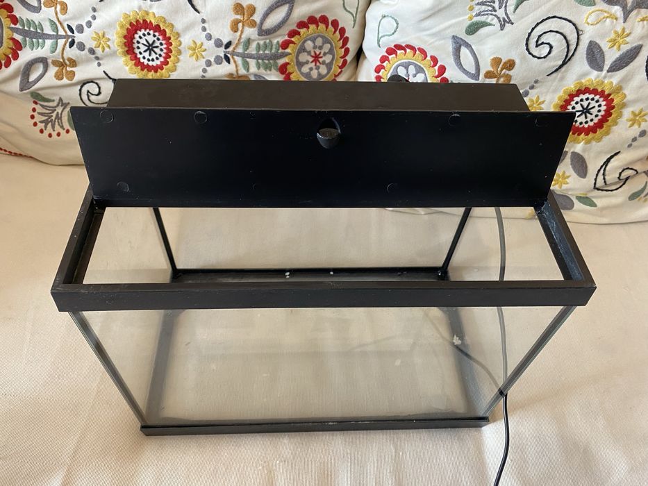 Aquario mais lampada