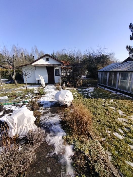 Działka ROD 42 Pułku Piechoty