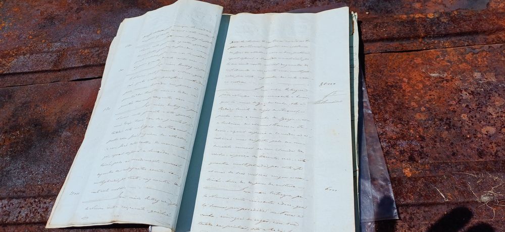 Carta de Sentença Século 19 Rei  D. Luiz Primeiro