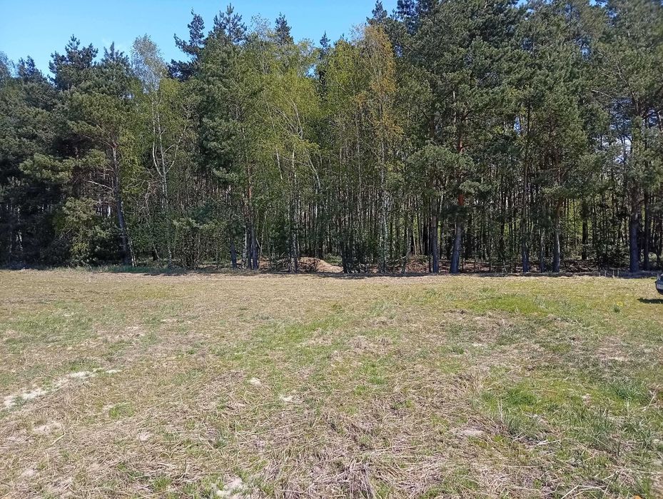 Działka budowlana z linią brzegową Jeziora Wolskiego - Wiewiórczyn
