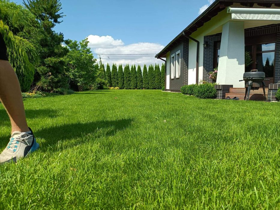 Trawnik #Trawa z rolki #Automatyczne nawadnianie