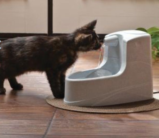 PetSafe Drinkwell Mini автоматический фонтан поилка для котов и собак.