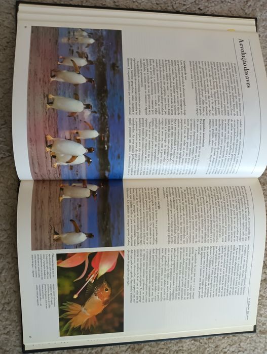 A vida	-	Ardley, Neil; Matthews, Robert  Como novo!