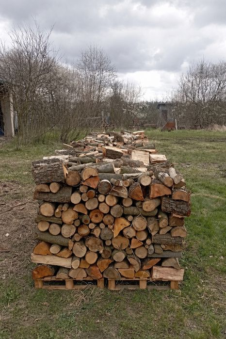 Drewno kominkowe suche liściaste